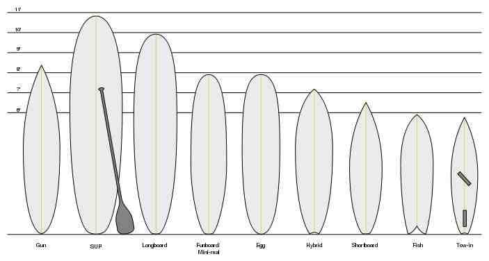 Comment choisir la bonne taille de planche de surf ?