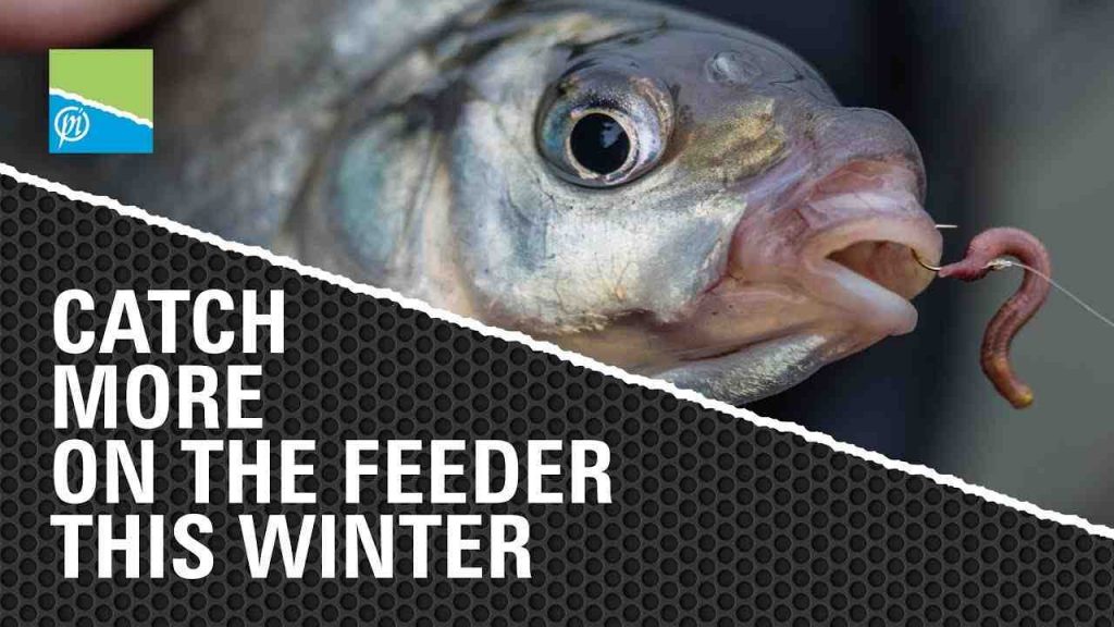 Comment pêcher au feeder en hiver ?
