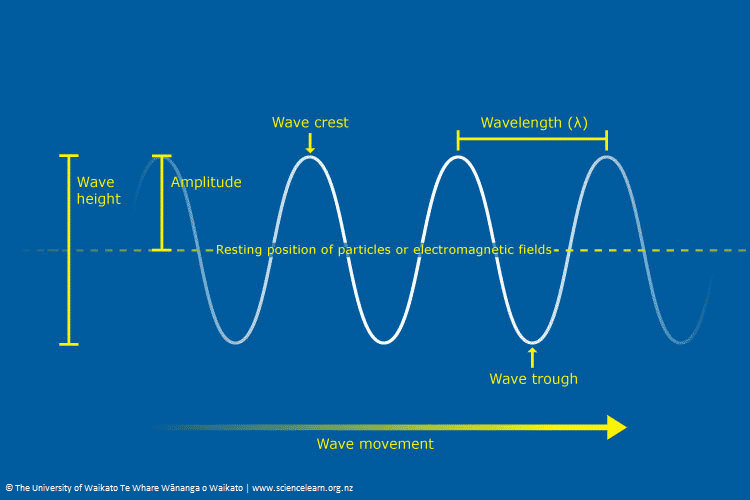 Quels sont les différents types de vagues ?