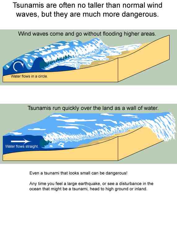 Qu'est-ce qui provoque les vagues de la mer ?