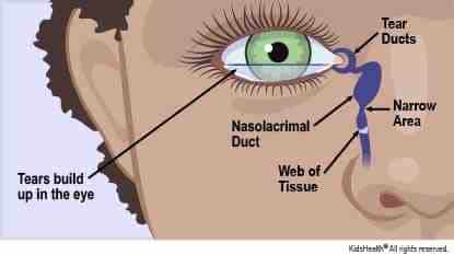 Comment augmenter la sécrétion des glandes lacrymales ?