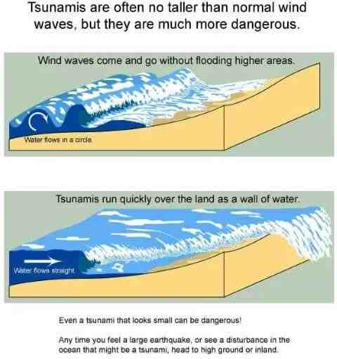 Quelle est la plus grosse vague jamais surfée ?