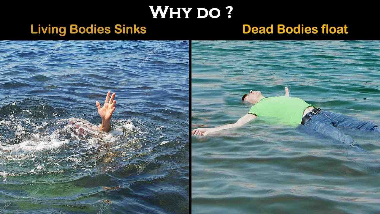 Quels sont les corps qui flottent ?