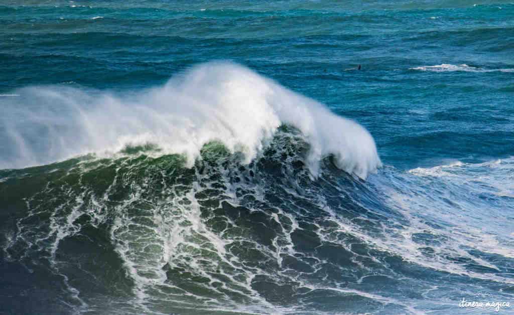 Quelle est la fréquence des vagues ?